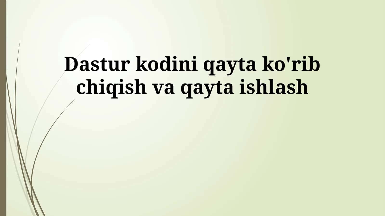 Dastur kodini qayta ko'rib chiqish va qayta ishlash