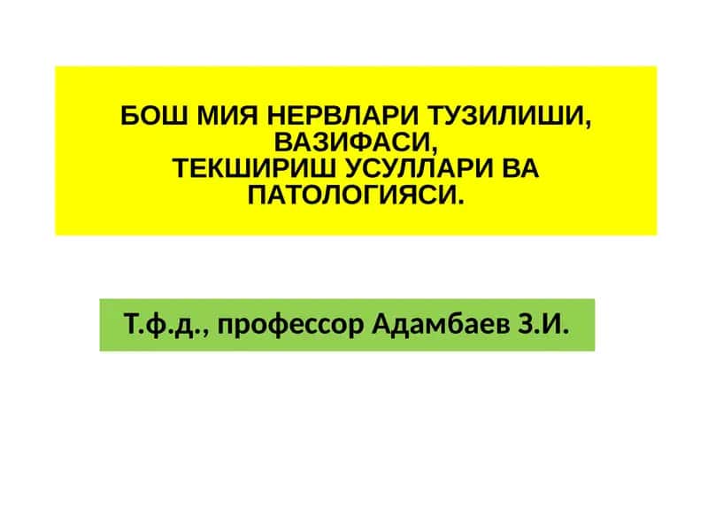 Бош Мия Нервлари Тузилиши