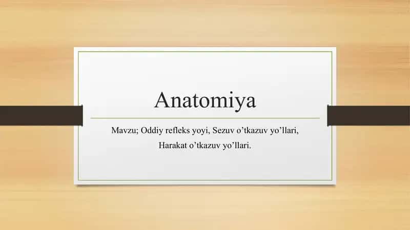 Anatomiya sezuv va harakat o'tkazuv yo'llari.