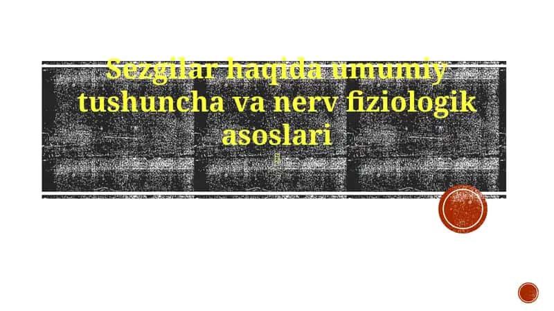 Sezgilar haqida umumiy tushuncha va nerv fiziologik asoslari