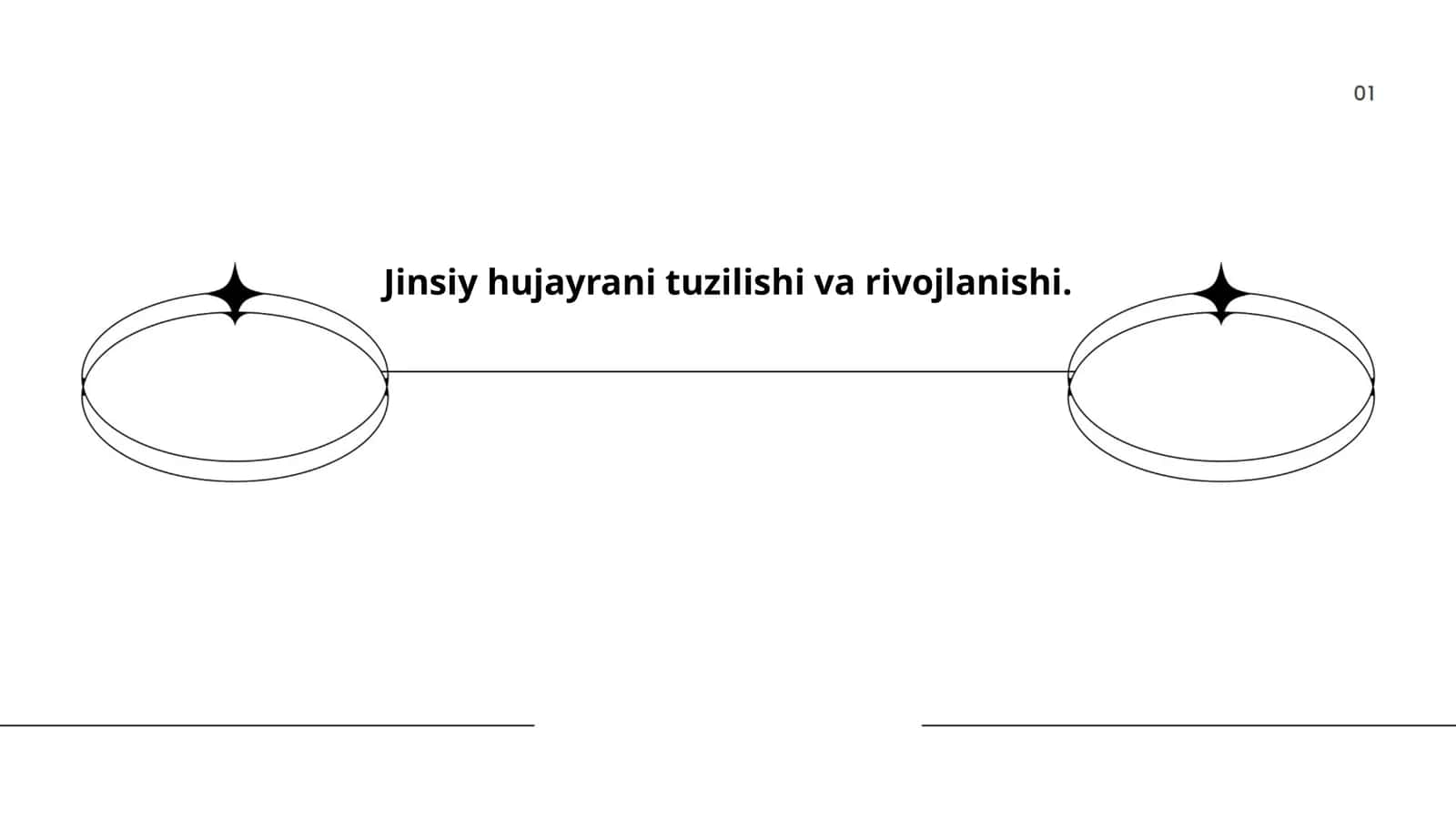 Jinsiy hujayrani tuzilishi va rivojlanishi
