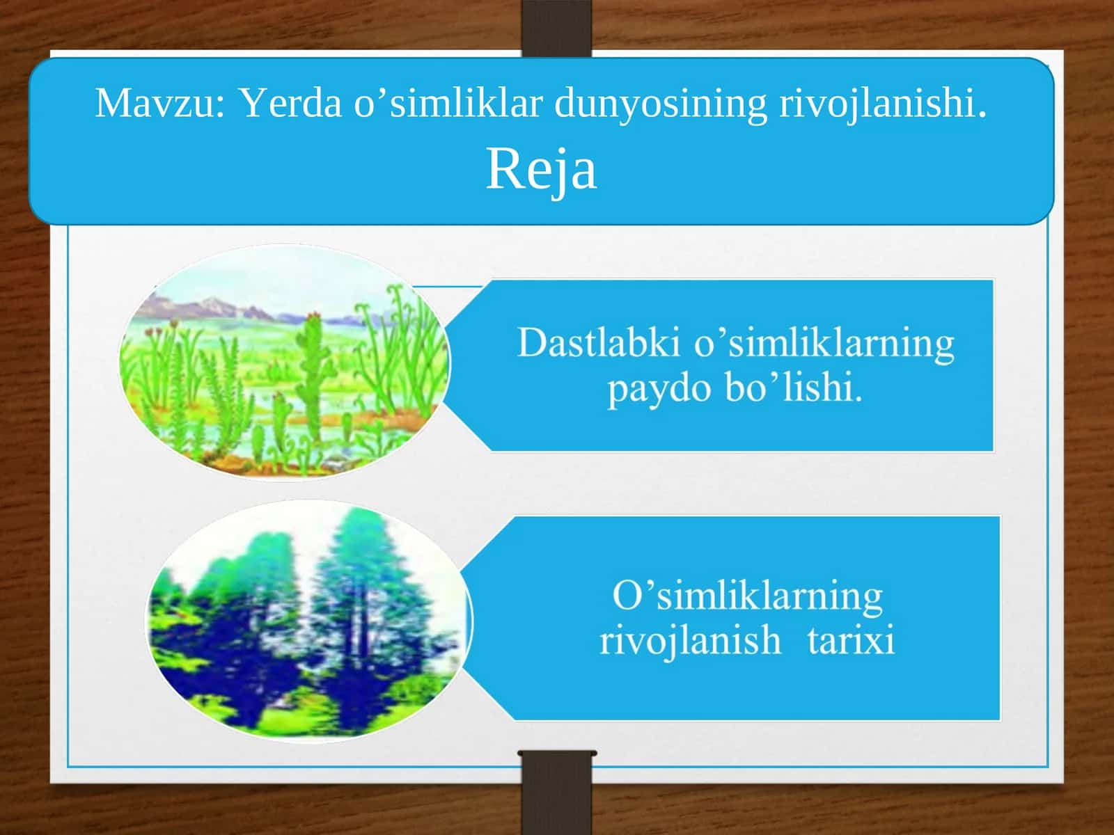 Yerda o’simliklar dunyosining rivojlanishi