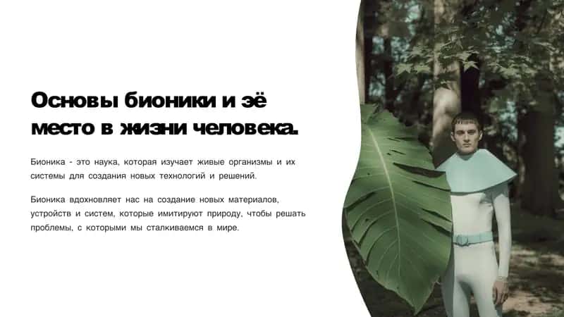 Основы бионики и эё место в жизни человека