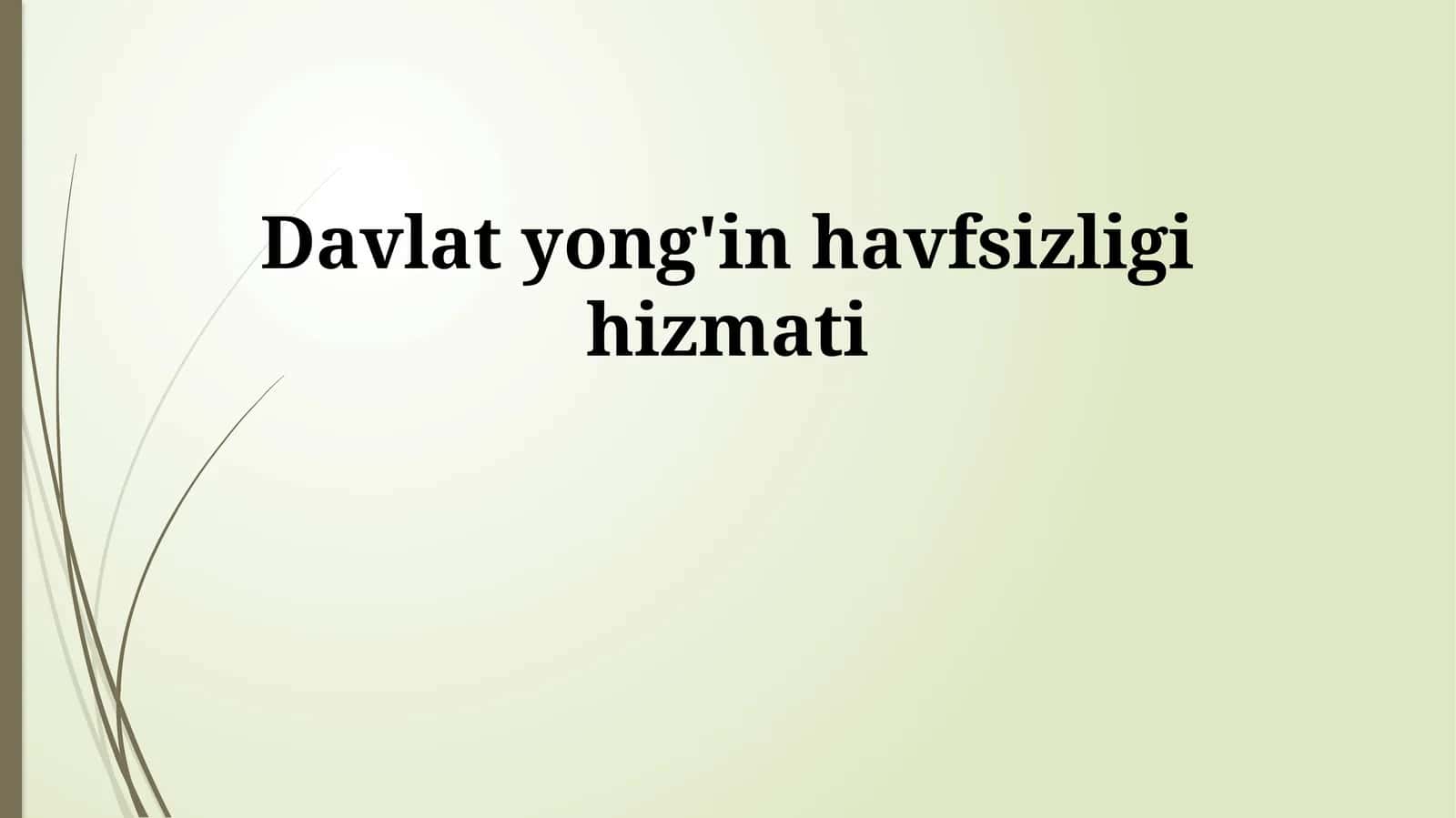 Davlat yong'in havfsizligi hizmati