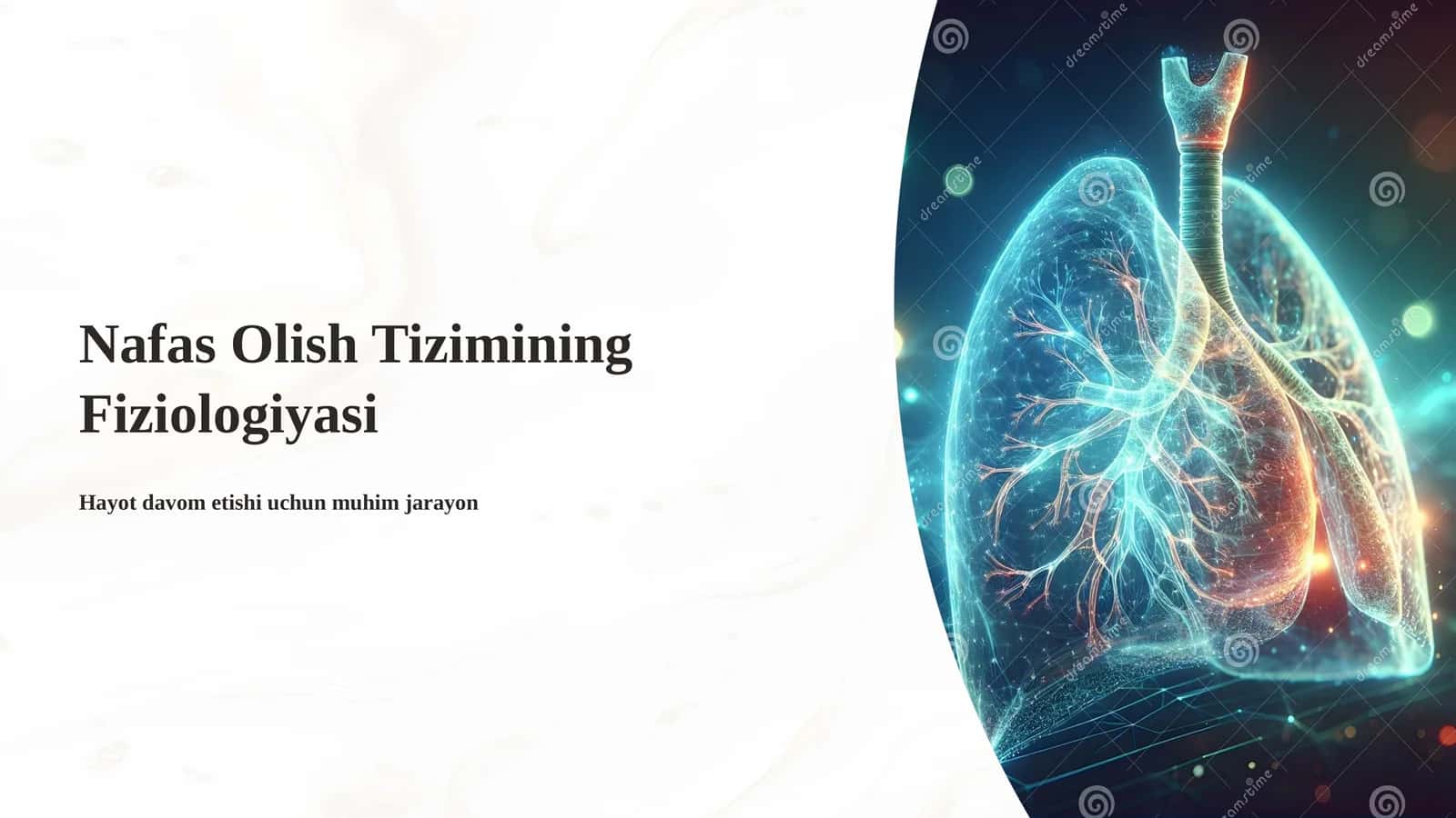 Nafas Olish Tizimining Fiziologiyasi