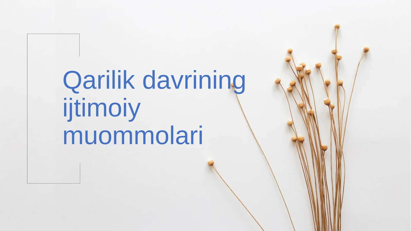 Qarilik davrining ijtimoiy muommolari