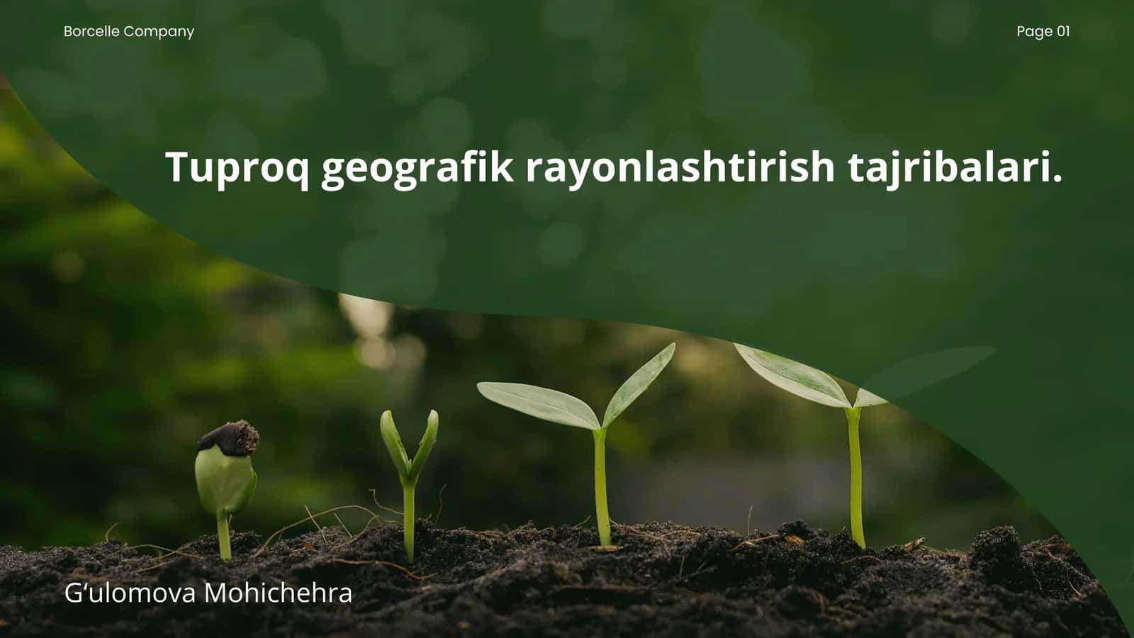 Tuproq geografik rayonlashtirish tajribalari