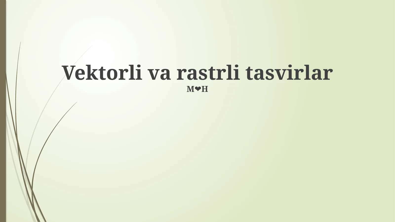 Vektorli va Rastrli Tasvirlar