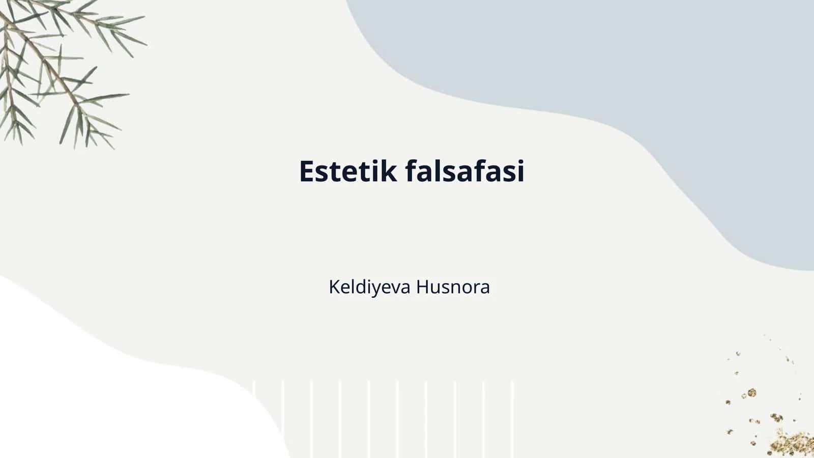 Estetik falsafasi