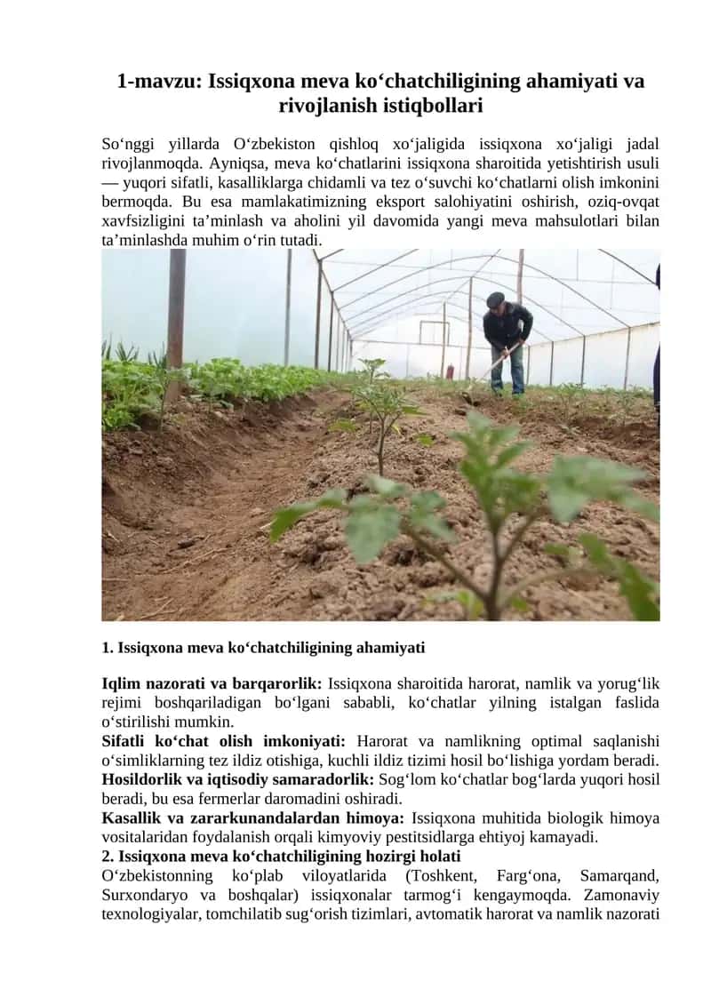 Issiqxona meva ko‘chatchiligining ahamiyati va rivojlanish istiqbollari