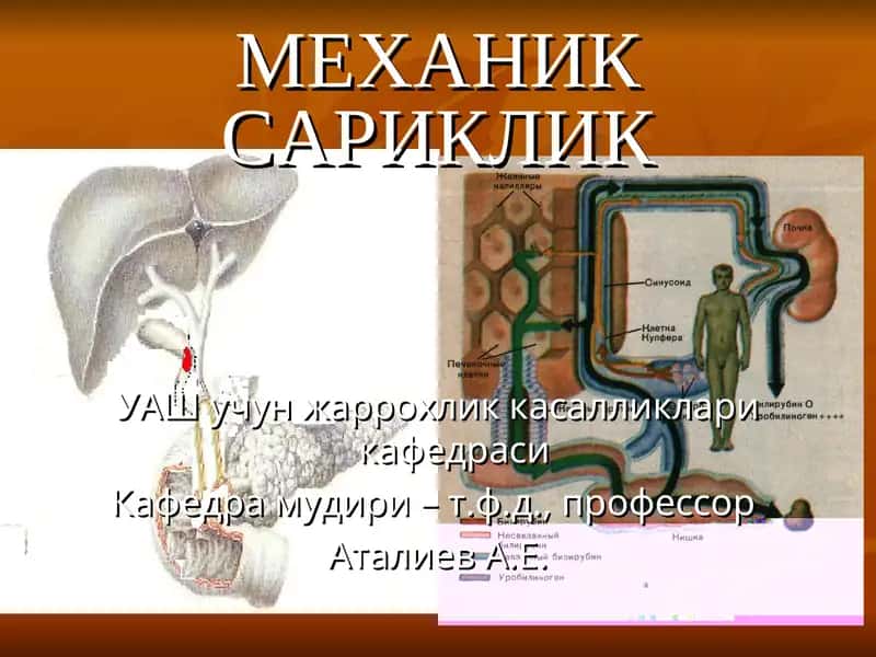 Механиксариклик