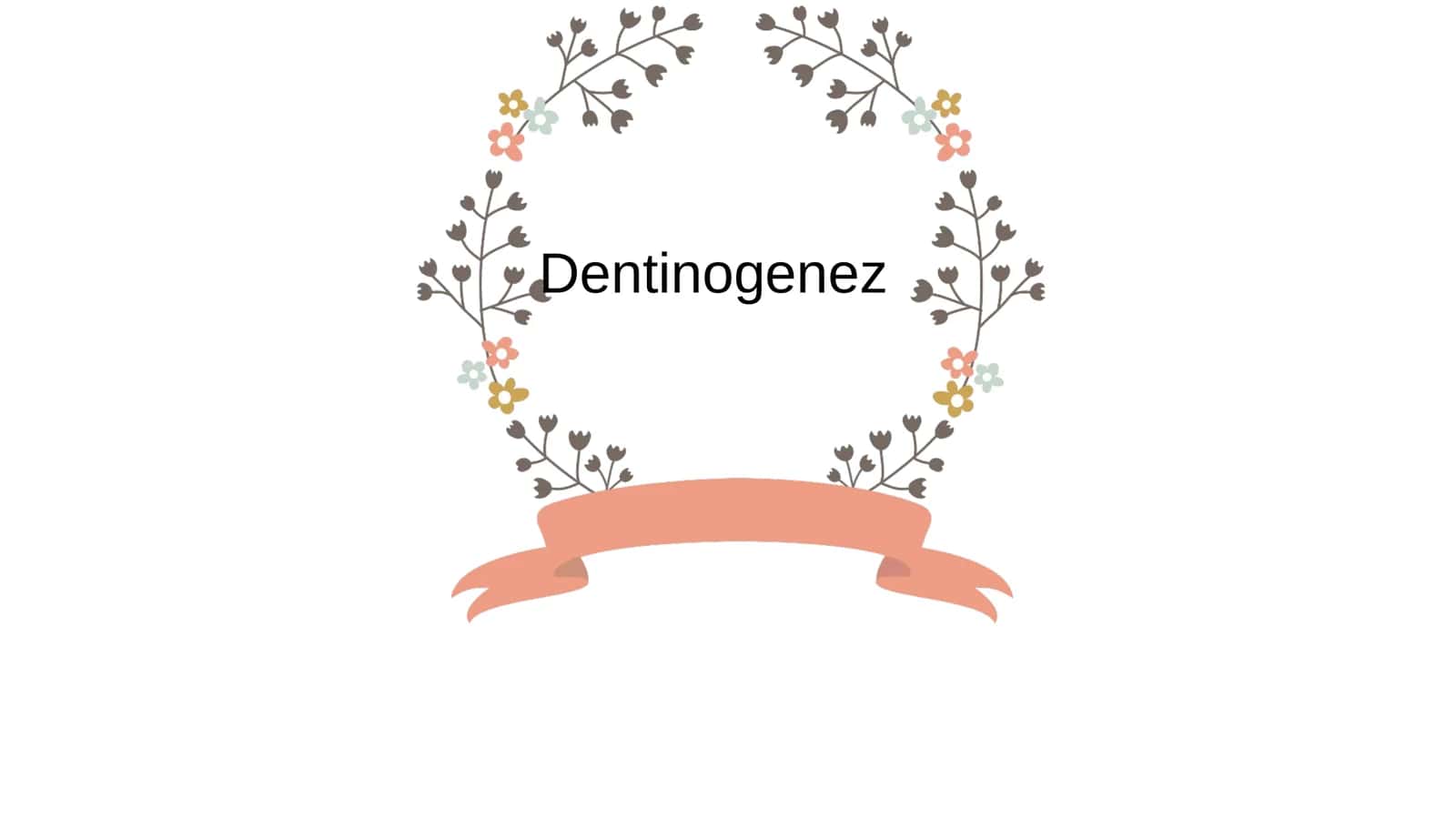Dentinogenez