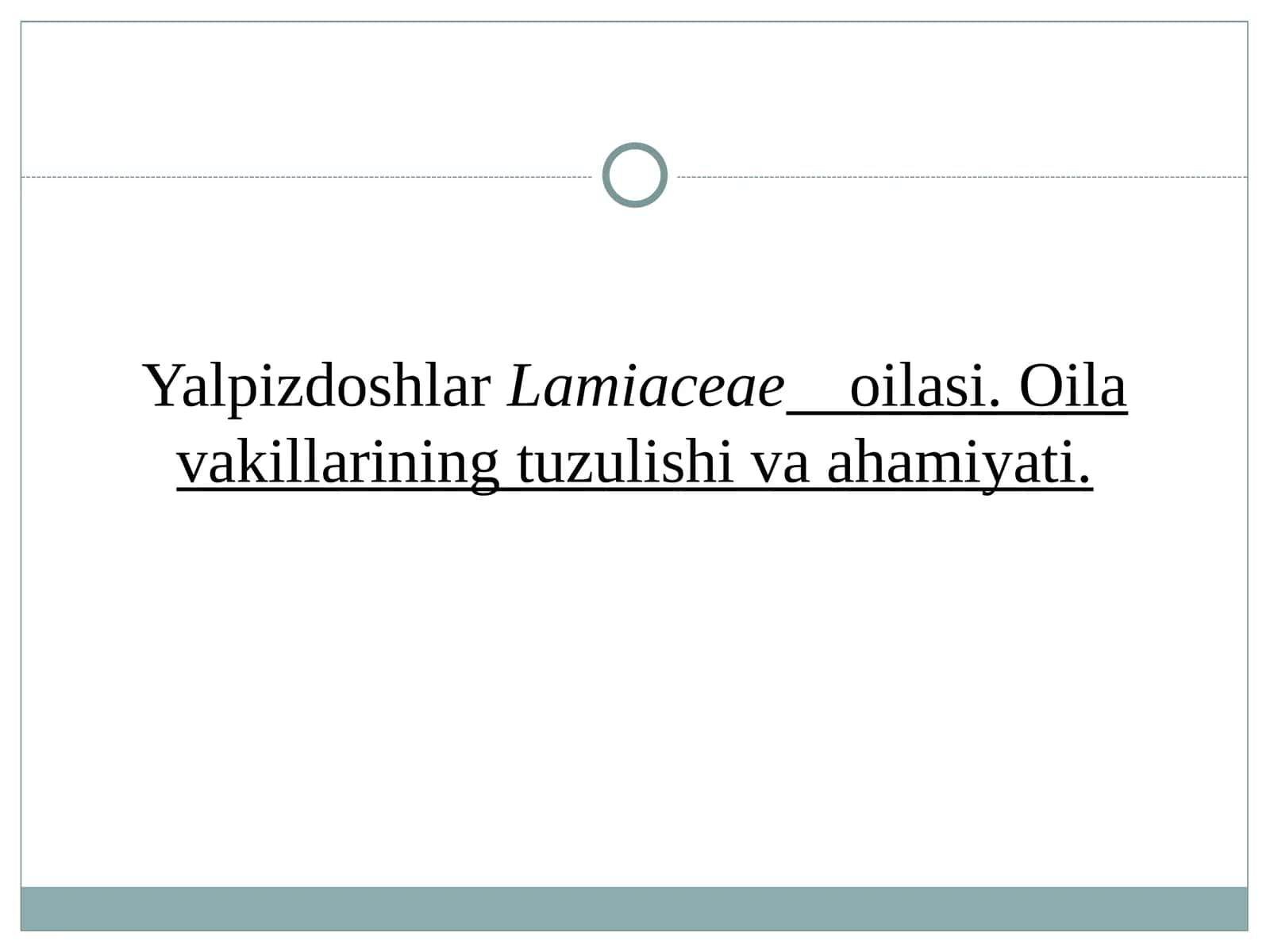 Yalpizdoshlar Lamiaceae oilasi