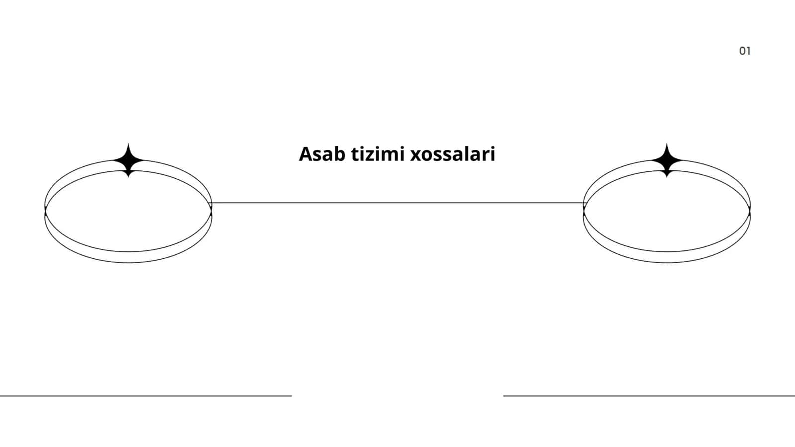 Asab tizimi xossalari