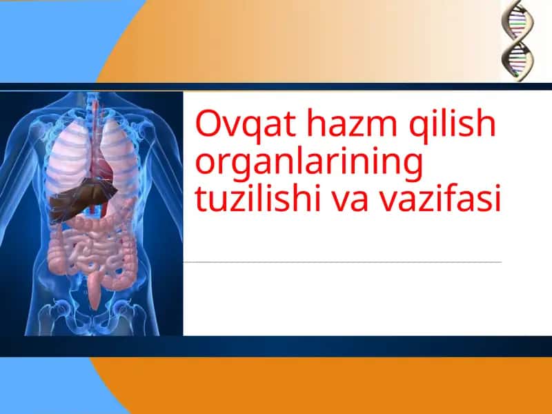 Ovqat hazm qilish organlarining tuzilishi va vazifasi