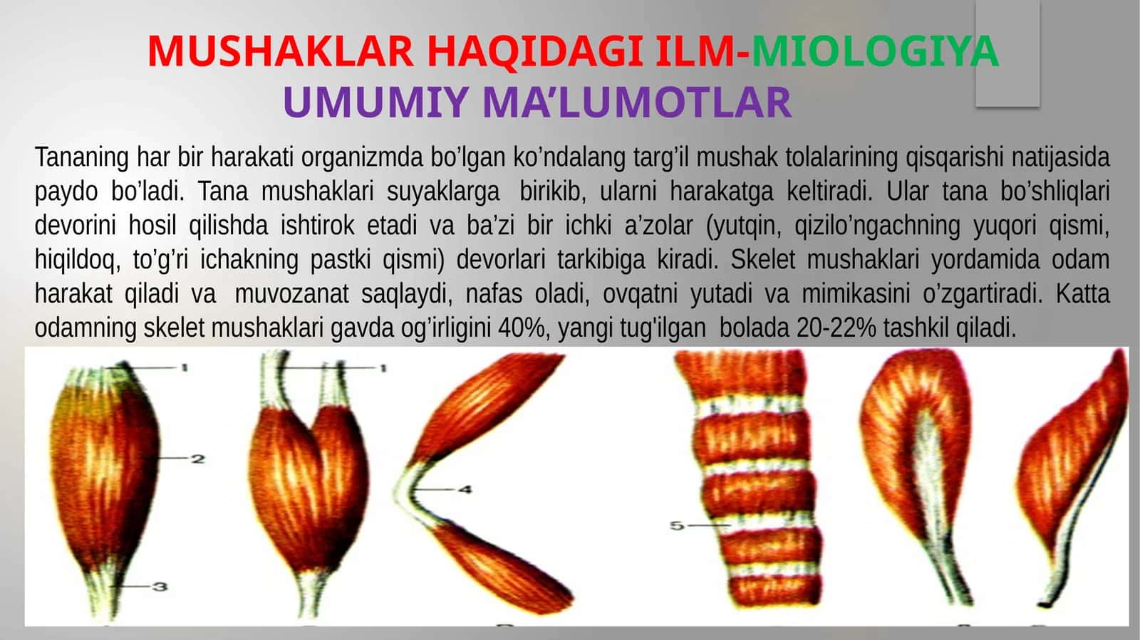 Mushaklar haqida ilm-MIOLOGIYA Umumiy ma’lumotlar