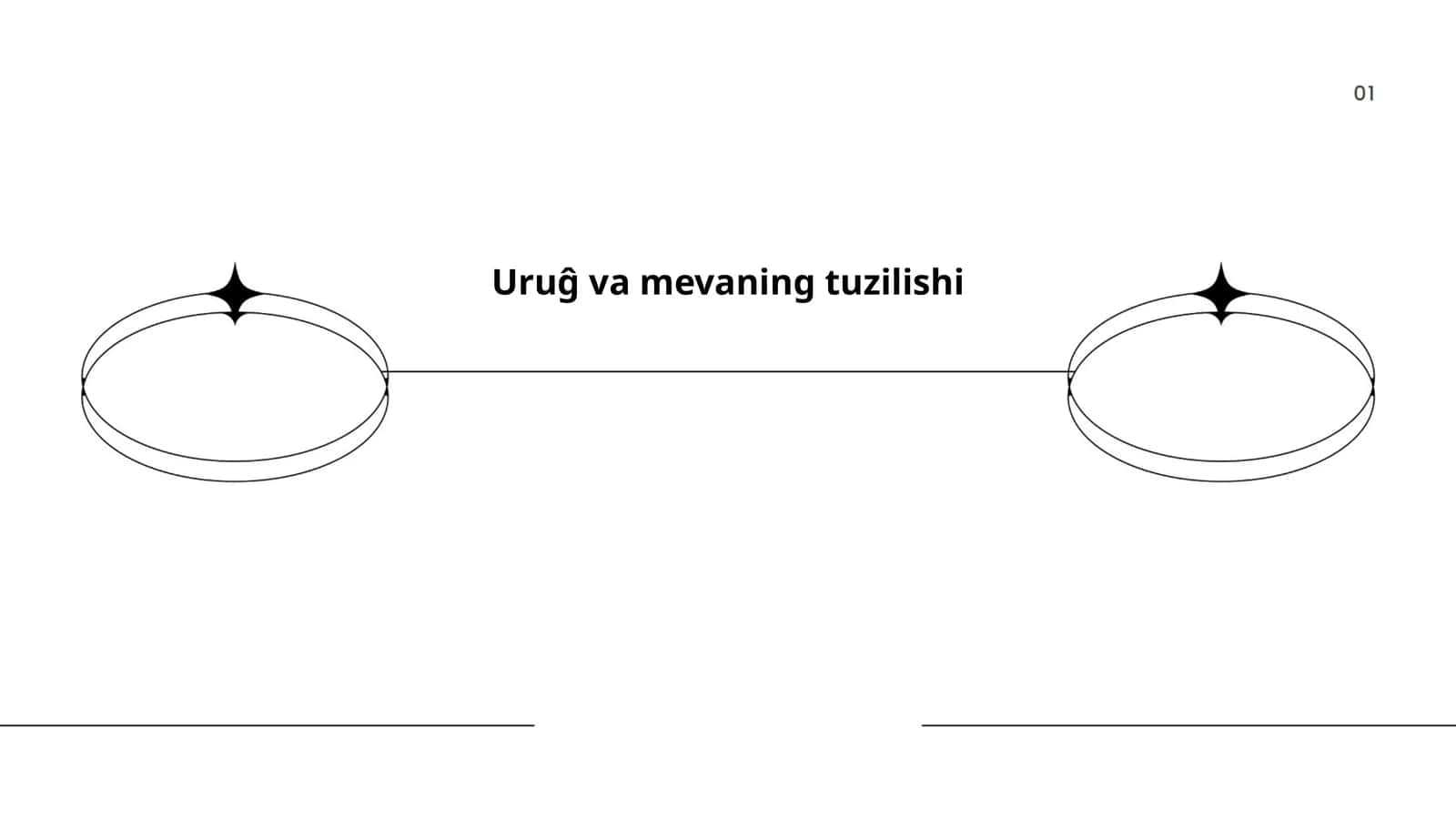 Uruĝ va mevaning tuzilishi