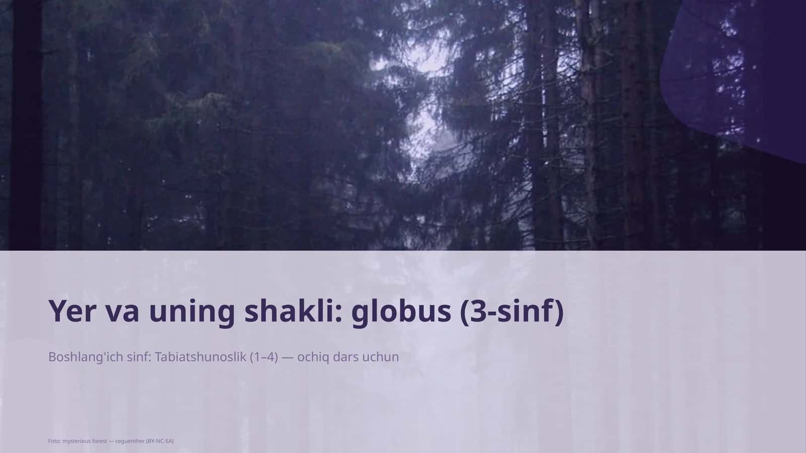 Yer va uning shakli: globus (3-sinf)