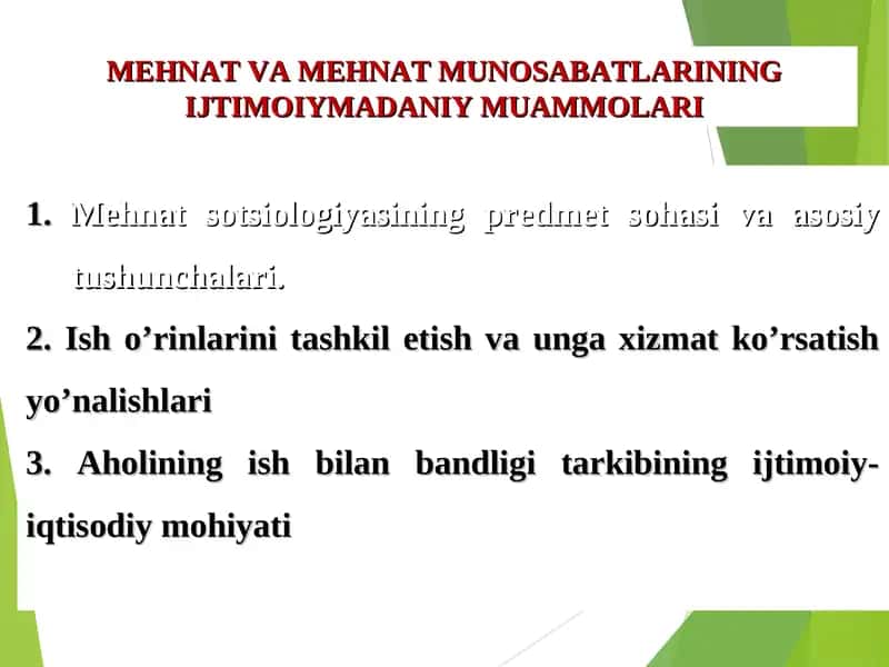 MEHNAT VA MEHNAT MUNOSABATLARINING IJTIMOIYMADANIY MUAMMOLARI