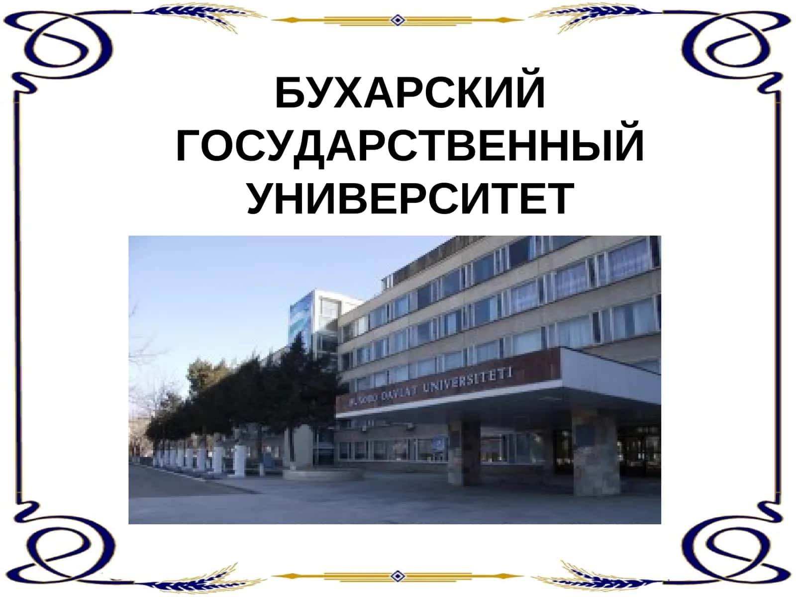 Бухарский государственный университет