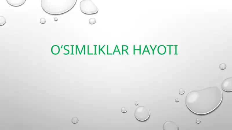 O‘simliklar hayoti