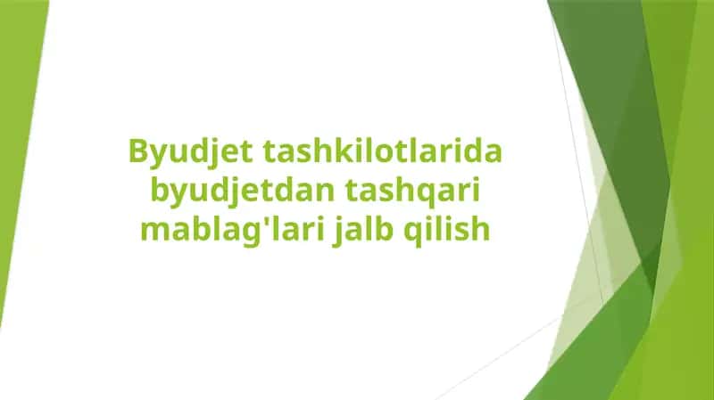 Byudjet tashkilotlarida byudjetdan tashqari mablag'lari jalb qilish