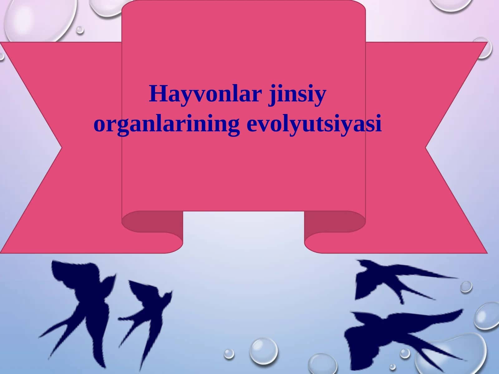 Hayvonlar jinsiy organlarining evolyutsiyasi