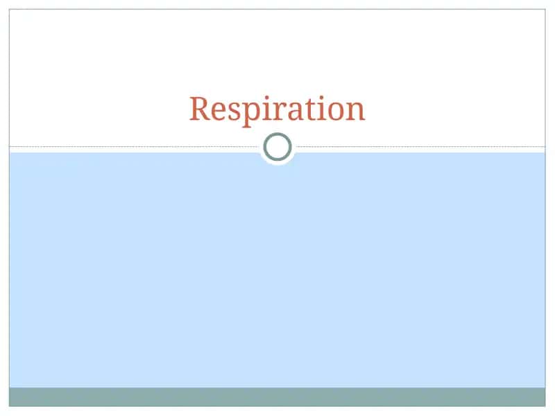 Respiration