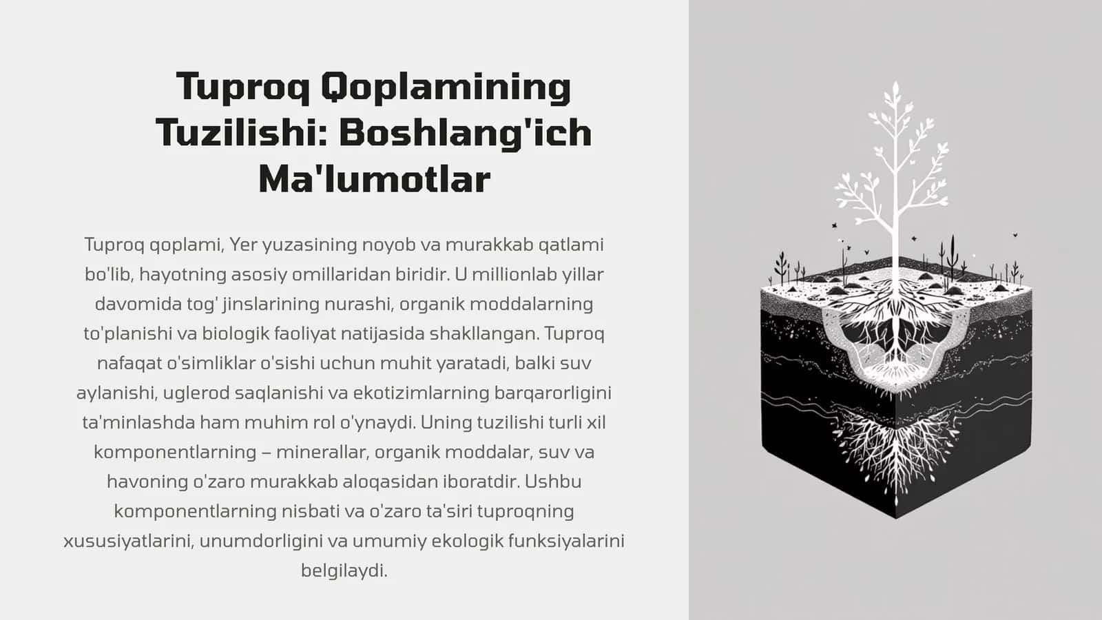 Tuproq Qoplamining Tuzilishi: Boshlang'ich Ma'lumotlar