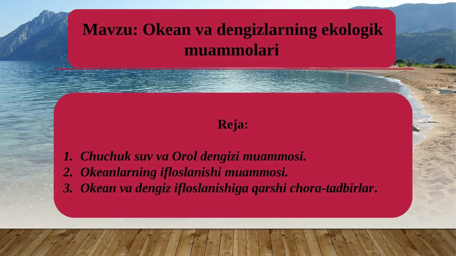 Okean va dengizlarning ekologik muammolari
