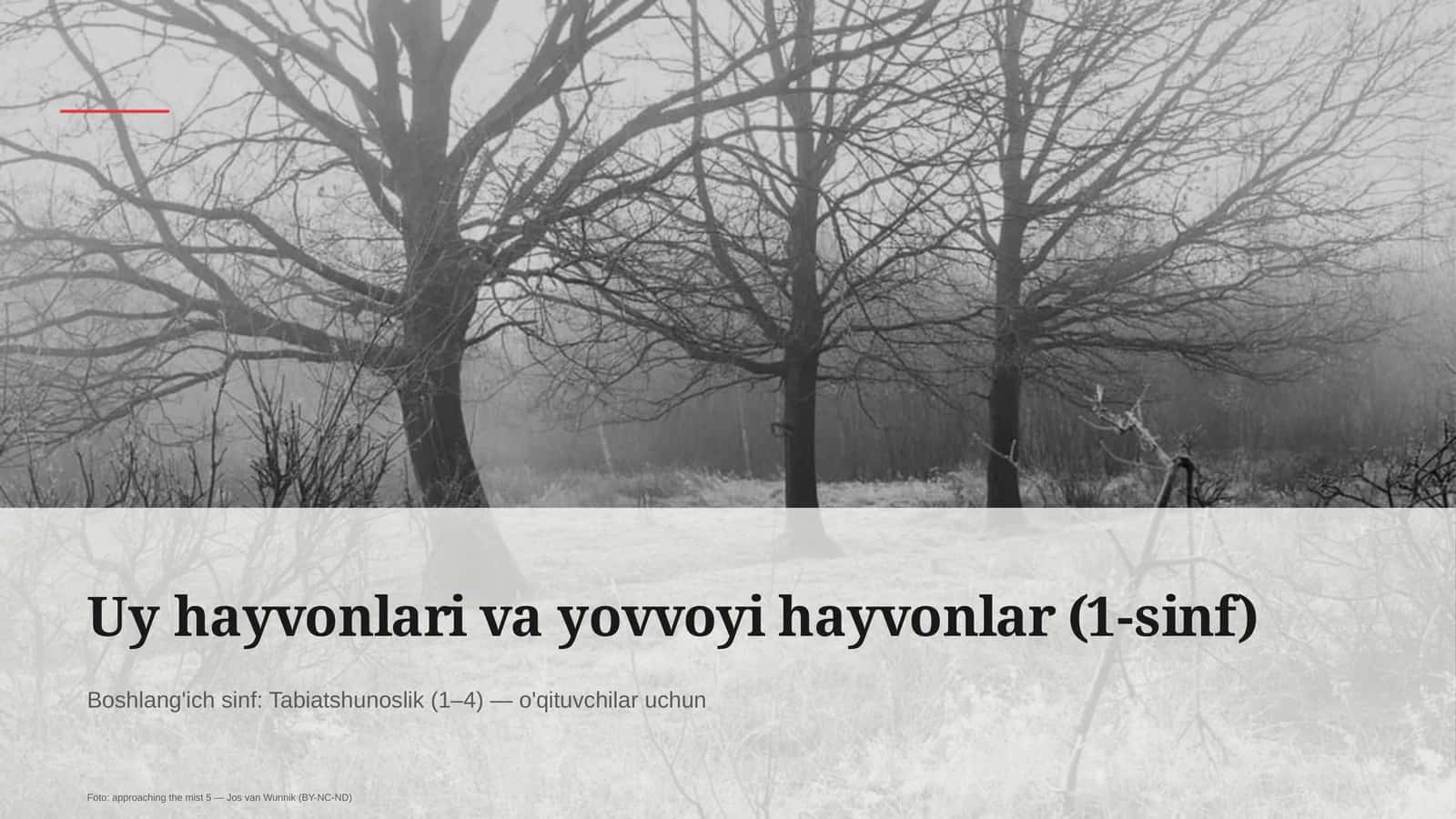 Uy hayvonlari va yovvoyi hayvonlar (1-sinf)