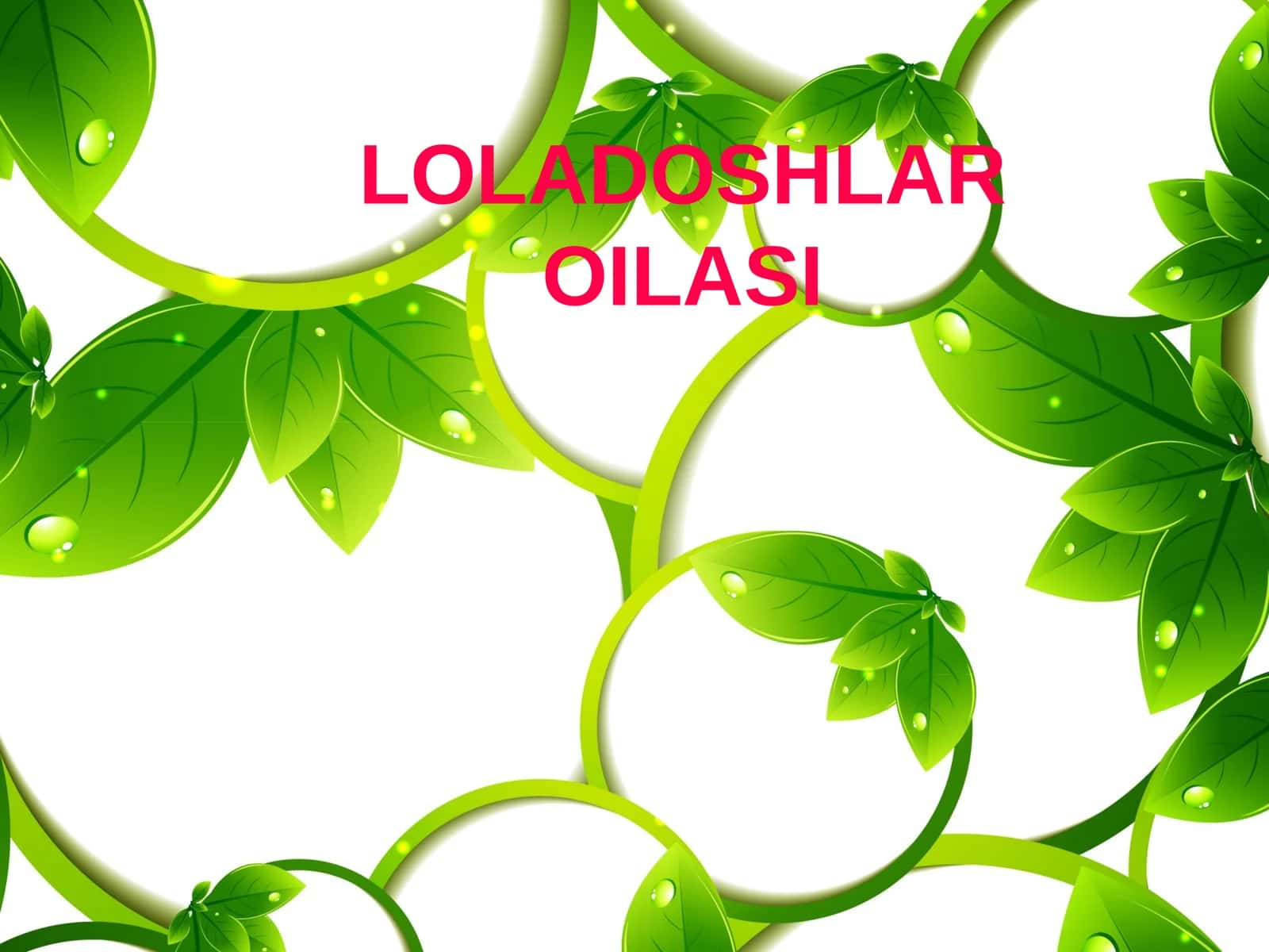 LOLADOSHLAR OILASI