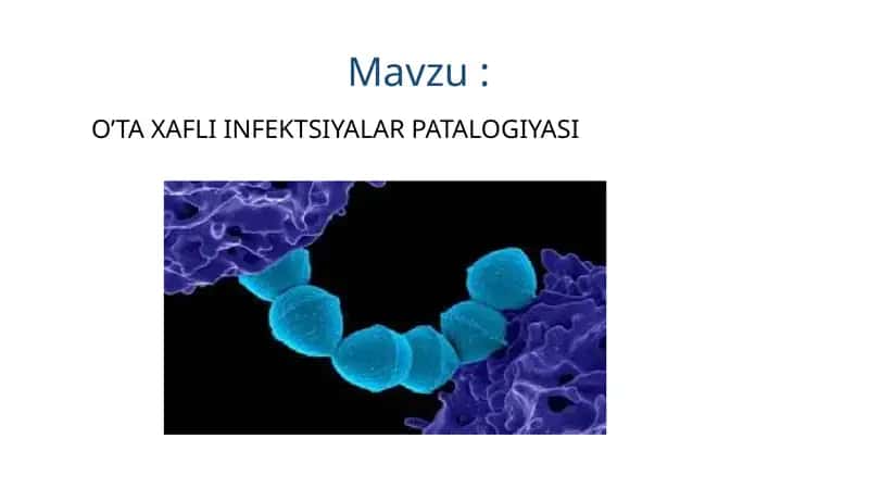 O’TA XAFLI INFEKTSIYALAR PATALOGIYASI