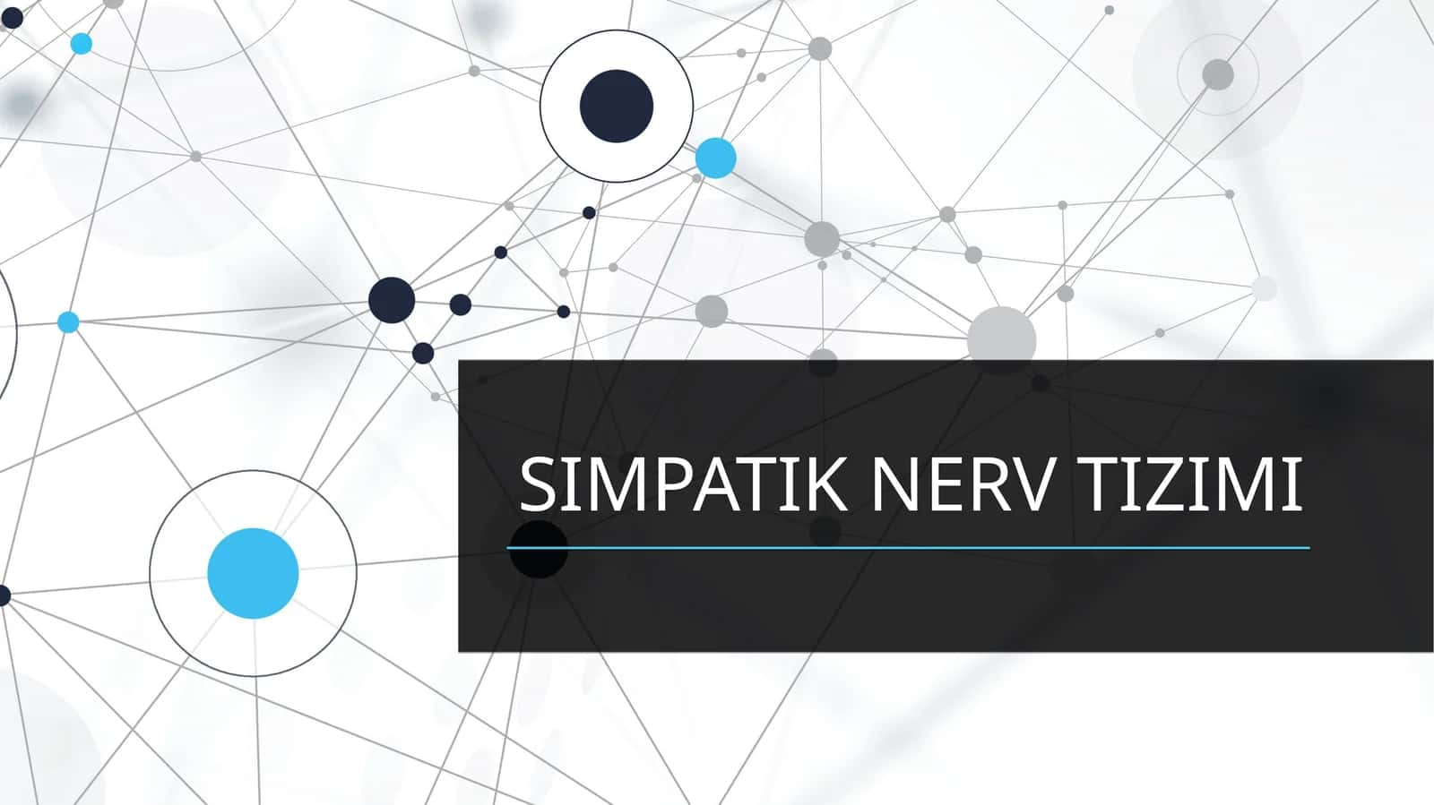 SIMPATIK NERV TIZIMI