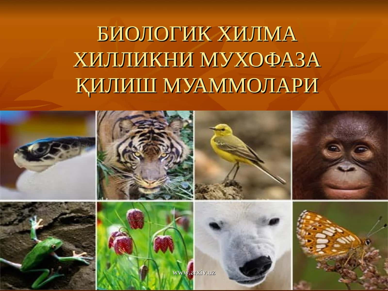 БИОЛОГИК ХИЛМА ХИЛЛИКНИ МУХОФАЗА ҚИЛИШ МУАММОЛАРИ