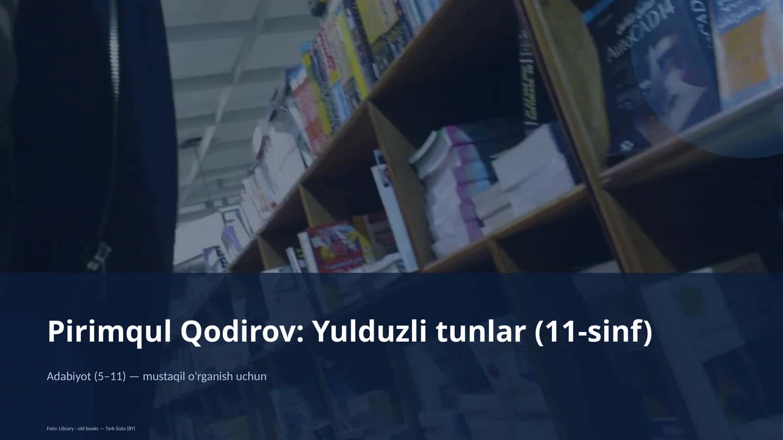 Pirimqul Qodirov: Yulduzli tunlar (11-sinf)