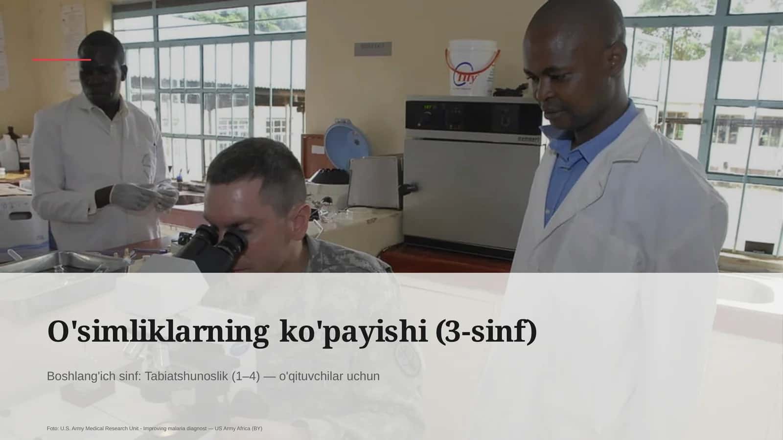 O'simliklarning ko'payishi (3-sinf)
