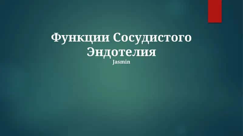 Функции Сосудистого Эндотелия