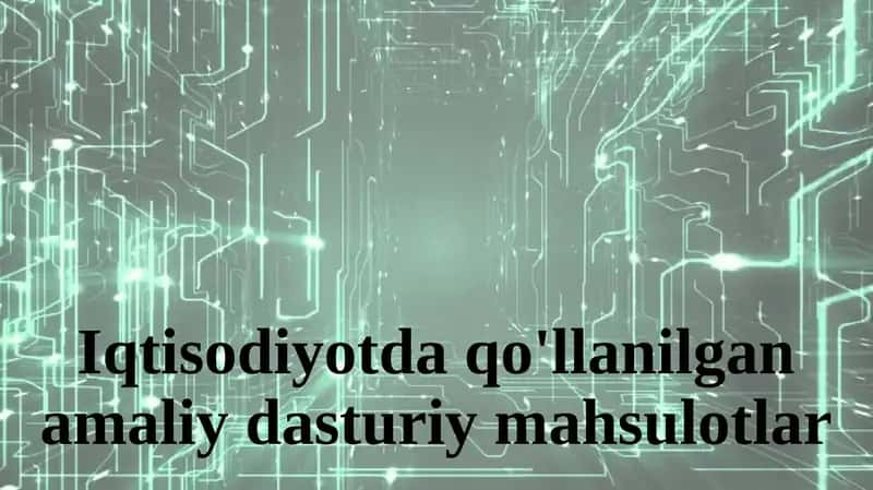 Iqtisodiyotda qo'llanilgan amaliy dasturiy mahsulotlar