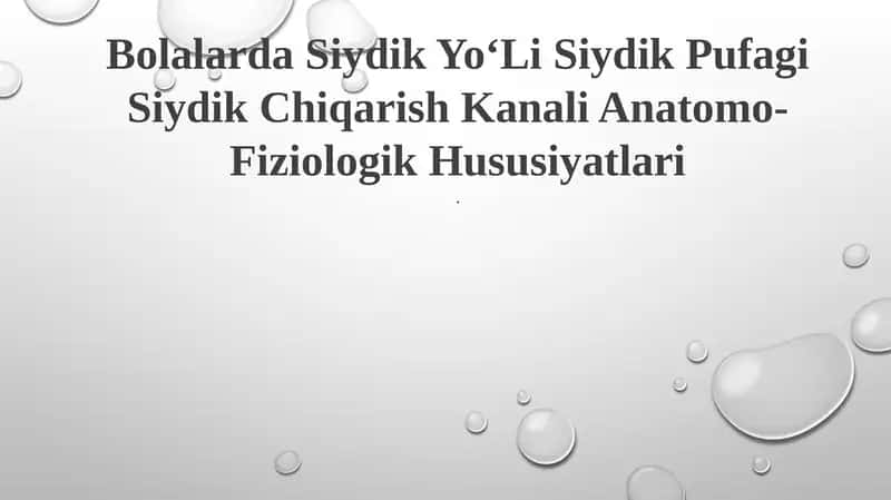 Bolalarda Siydik YoʻLi Siydik Pufagi Siydik Chiqarish Kanali Anatomo-Fiziologik Hususiyatlari