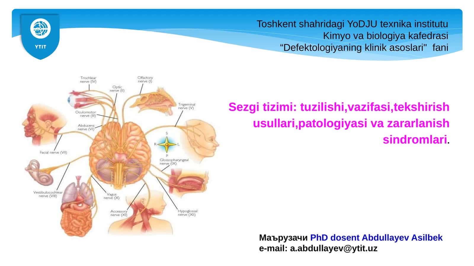 Sezgi tizimi: tuzilishi,vazifasi,tekshirish usullari,patologiyasi va zararlanish sindromlari