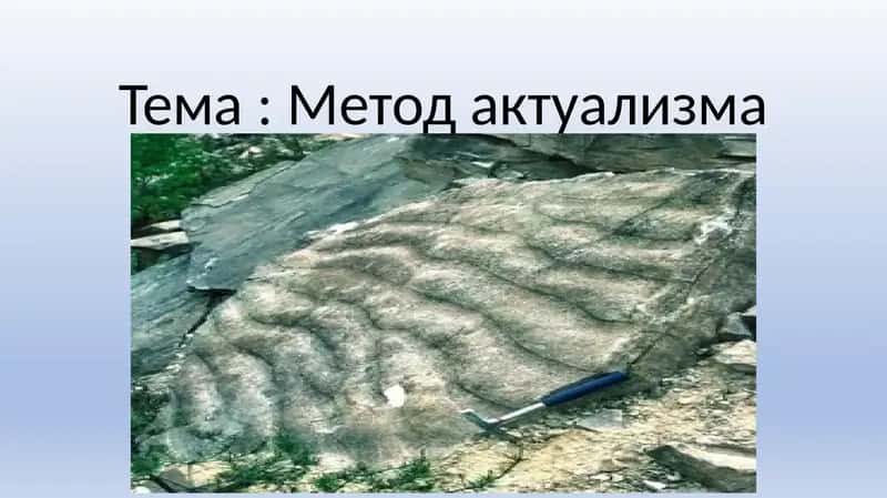 Метод актуализма