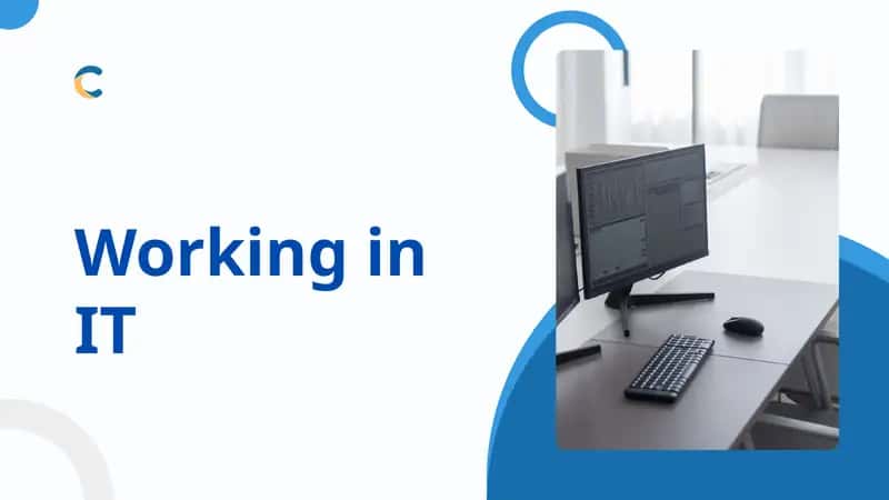 Software Developer
