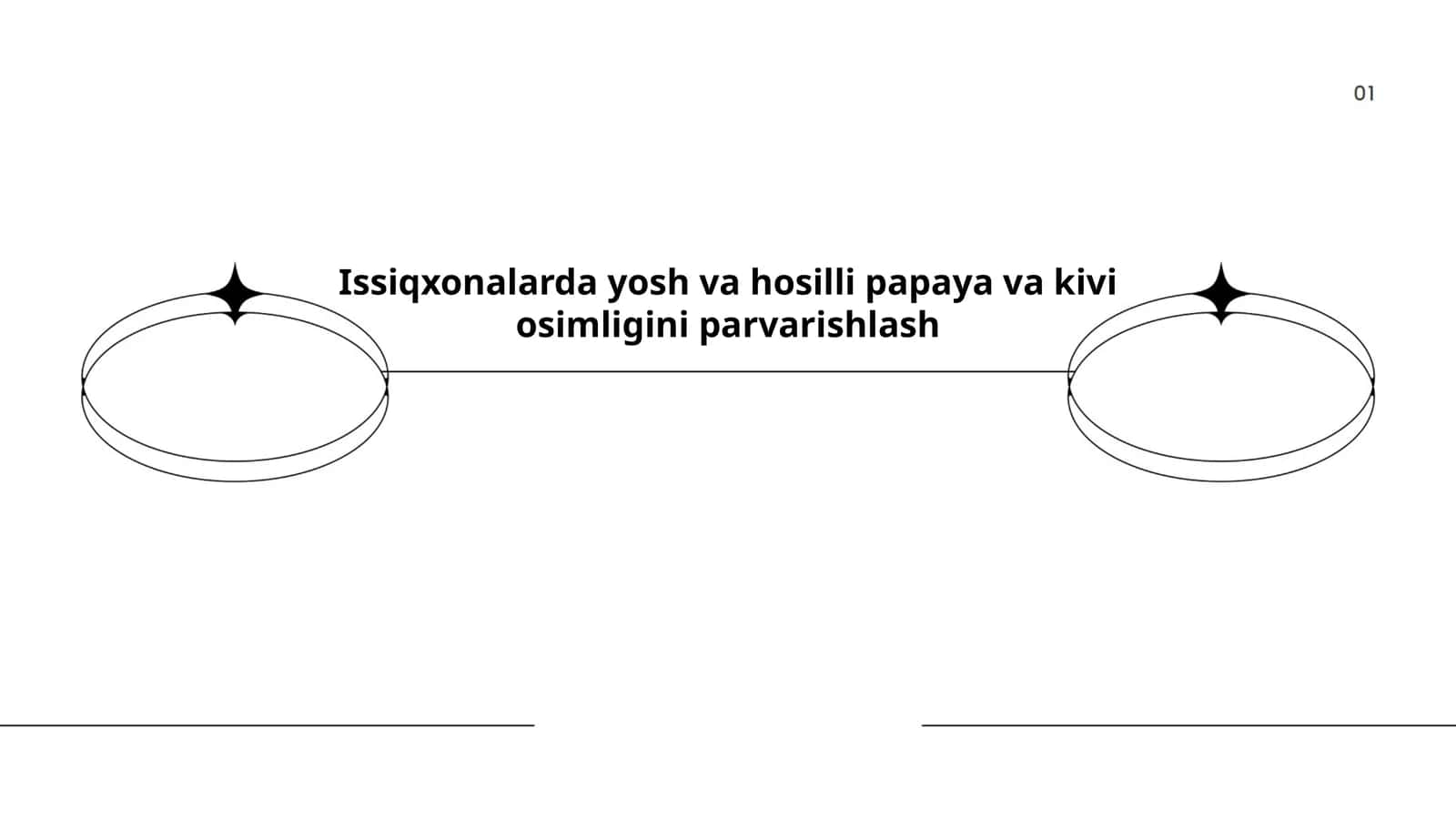 Issiqxonalarda yosh va hosilli papaya va kivi osimligini parvarishlash