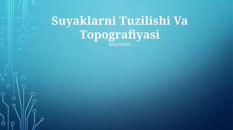 Suyaklarni Tuzilishi Va Topografiyasi