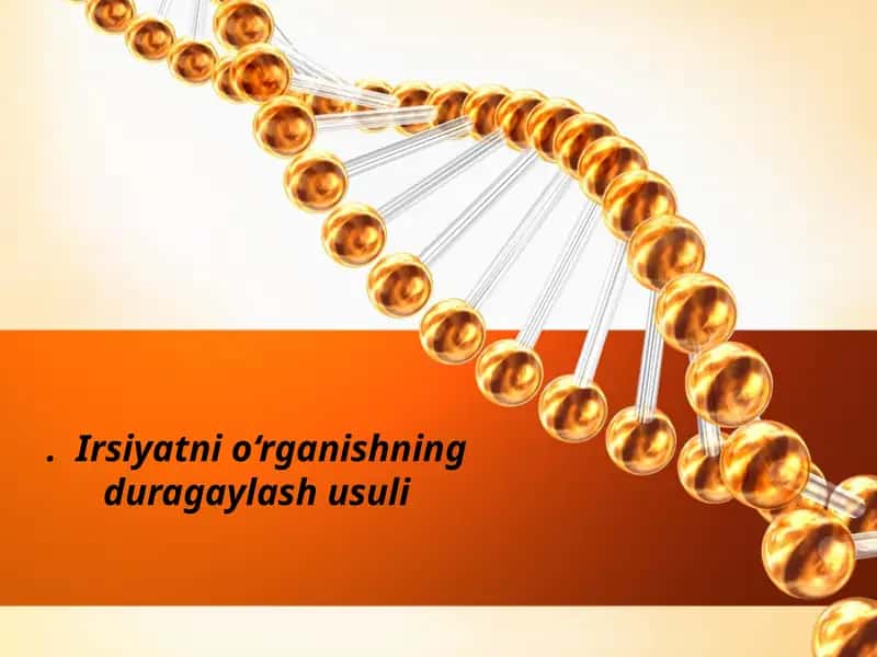 irsiyatni oʻrganishni duragaylash usuli