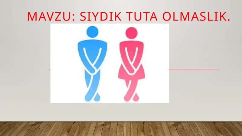 Siydiktutaolmaslik
