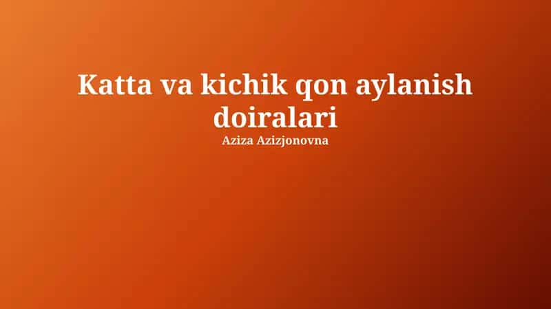 Katta va kichik qon aylanish doiralari