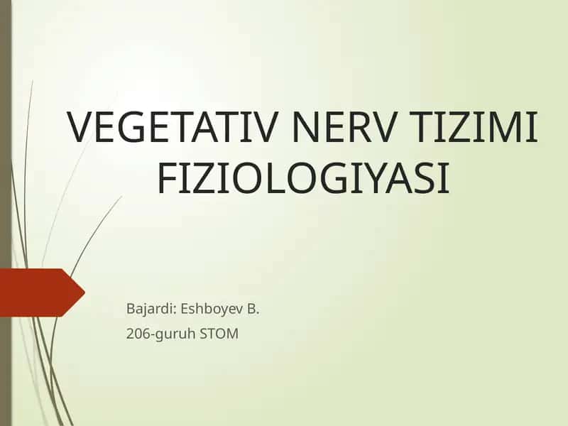 VEGETATIV NERV TIZIMI FIZIOLOGIYASI