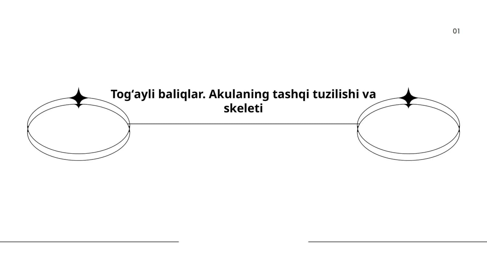 Togʻayli baliqlar. Akulaning tashqi tuzilishi va skeleti